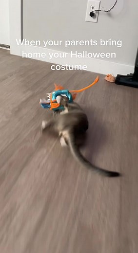 Angler Fish Halloween Costume Unboxing