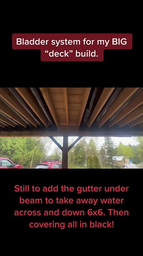 illrogenous on TikTok