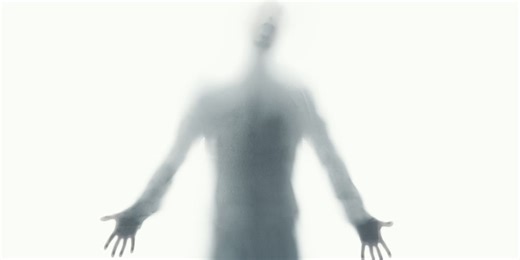 Scientists Have Built the First Modular Body—a Living Being That Isn't Alive