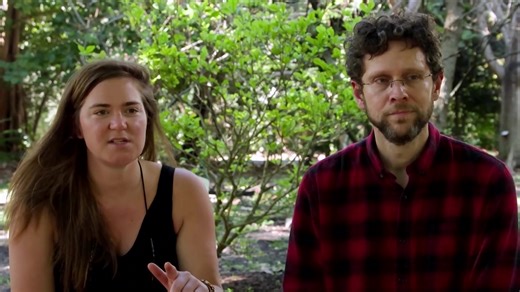 Scientists in Florida are using newly developed tracking technology to follow monarch butterflies in real time, a breakthrough they say could transform the study of insect migration and behavior | Reuters