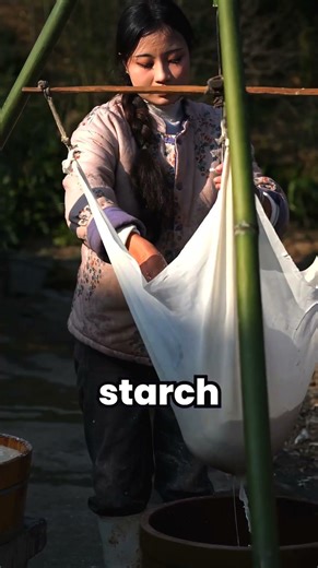 How This Rare Wood Root Becomes a Crystal Jelly! The Secret Ancient Recipe!