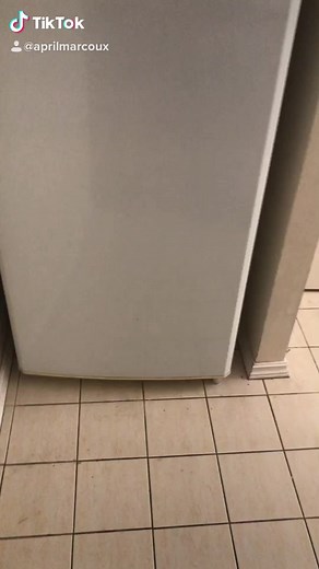 #aussie #aussietok #dinnertime #everyfuxkingtime