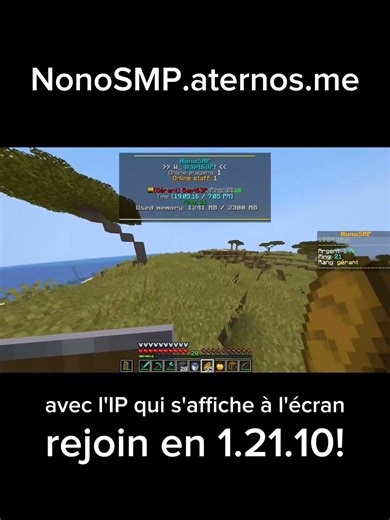 Rejoignez mon serveur Minecraft java avec l'ip dans la description!
