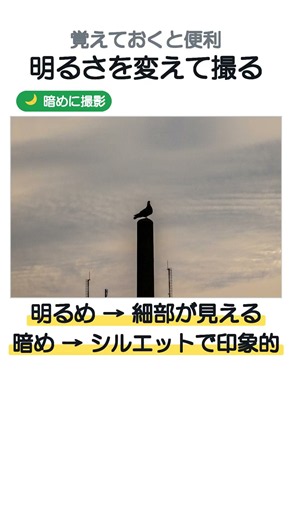 同じ構図でも明るさで別の写真に｜あえて暗めに撮ってシルエットに【写真の撮り方】#撮影のコツ8