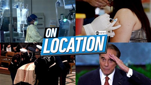 Scientists use the running of the bulls to gather data on the running of the humans