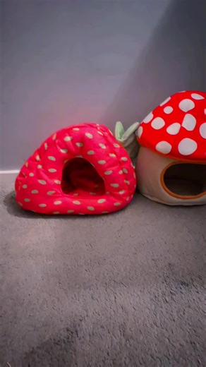 Kavee Fleece Hideys for Guinea Pigs: Stay Warm this Winter