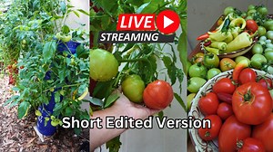 5.3K views · 106 reactions | If you missed the Grow Tower tutorial on the livestream, here is the edited version with just the pertinent information you need to make and maintain one yourself. Off grid hydroponics, no pumps and easy as can be. | Keep on Growin' | Facebook