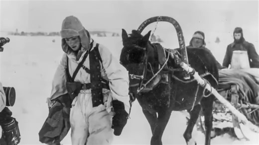 The frozen siege: German soldiers at Moscow's edge