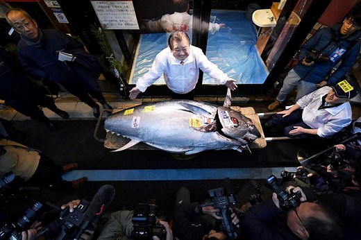 Japanese businessman spends $1.8 million on tuna