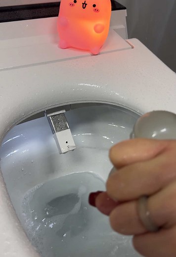 Horow_toilet on TikTok