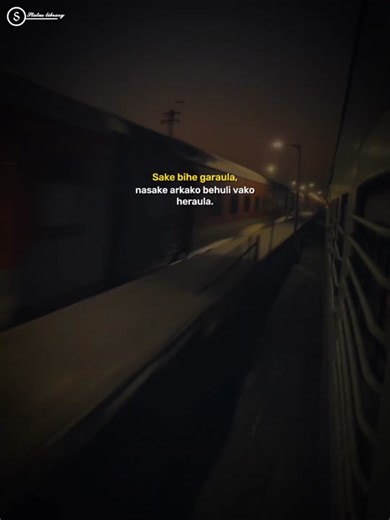 Trending Status Library | Viral Videos Compilation