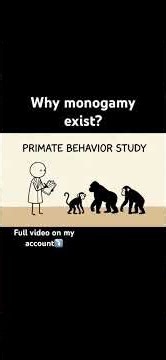 Why Monogamy Exists