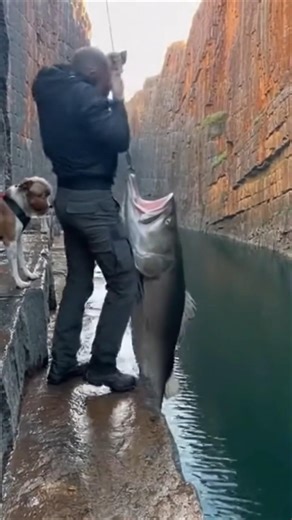 Echo Lake's Secret Legend Caught on Camera! 🦈