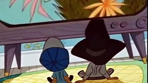 Roadrunner and Coyote Cartoons