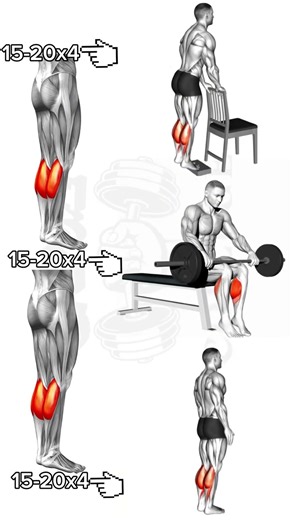 Perfect calf workout at home #exercise #shoulder #motivation