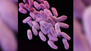 Superbug infection resistant to all FDA-approved antibiotics