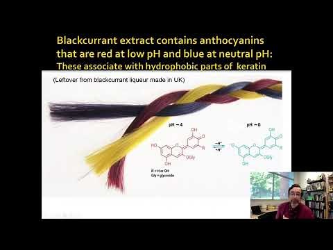 Lecture 10.0: Keratin and Collagen, Two Fibrous Proteins