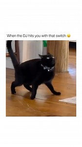 Just hits you by suprise 😖 Track: @junkmailbeatz - Archive 🎶 | DNBActive