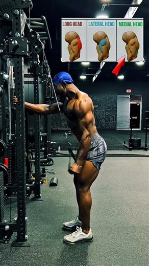 Only 3 Exercise for Thicker Triceps #tricepsworkout