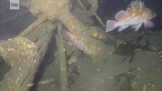 250K views · 822 reactions | A Coast Guard ship has been found 100...