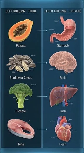 Food as Medicine: Harnessing Nutrition for Health