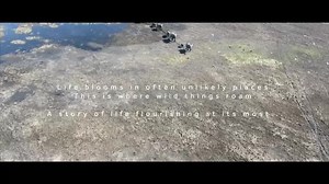 1.9K views · 64 reactions | It’s World Tourism Day and we’d like to take the opportunity to remind the world why Namibia is the most extraordinary destination for your next adventure…. This is Namibia. | Travel Namibia | Facebook