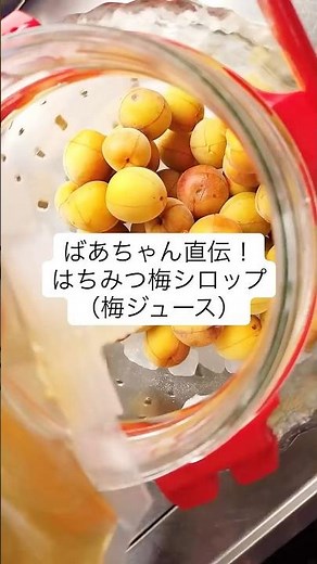 ばあちゃん直伝！はちみつ梅シロップ（梅ジュース）の作り方・レシピ／ばあちゃんの料理教室 #shorts