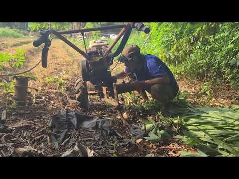 Techniques for Installing Tractor Engine Components — Agriculture Farming