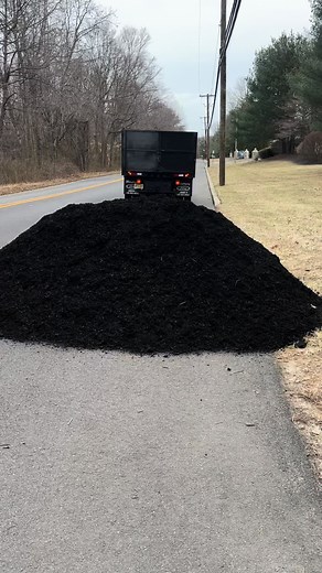 Understanding Mulching Techniques for Gardens