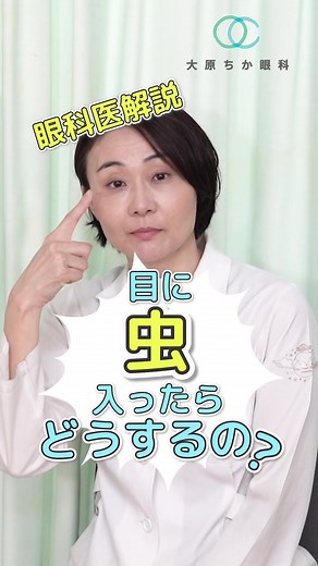 これから虫が多くなる季節です！目に入った時の対処法を知っておきましょう。#大原ちか眼科 #ちか先生 #眼科医 #目に虫