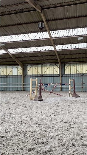 Cheval à vendre - A VENDRE jument selle français - equirodi.com