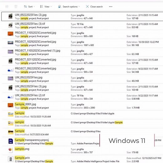 Windows 11 File Explorer Search