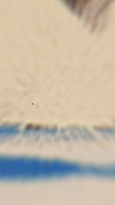 Don’t miss your chance to get Paul McCartney’s Got Back 2025 Tour Merch! Shop your event merch from New Orleans, LA plus the full collection in the Official Store now! | Paul McCartney | Facebook