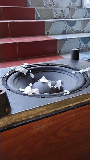 The Sound of THUNDER! 12 Bose Sub Bass Quality Review (25m² Room Acoustic Test) #nghia #dj #basstest