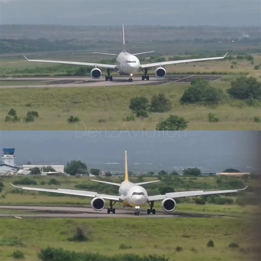 A330Ceo vs A330Neo: What's the Difference?