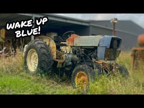 Will it START & DRIVE? 58YR OLD Blue Ford 5000 Tractor left SITTING in the FIELD