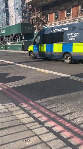 Central London police vans#automobile