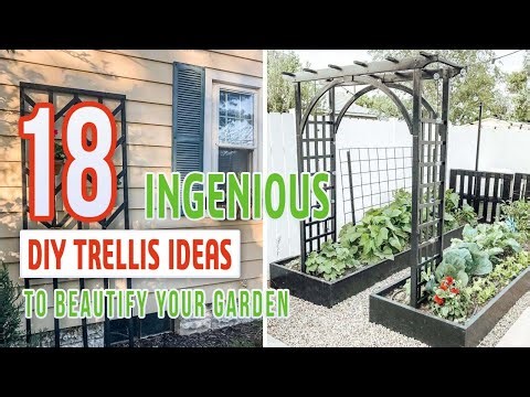 18 Ingenious DIY Trellis Ideas To Beautify Your Garden