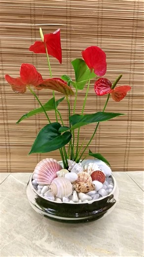 How to Arrange Seashells in Red Anthurium Water Garden♥️ #red #homedecor #plantdecor #ideas