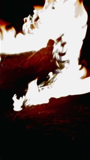 Flight: S01-LW-G09-ESE-00008 // J Witness clean. Leave residue. Exit quietly.