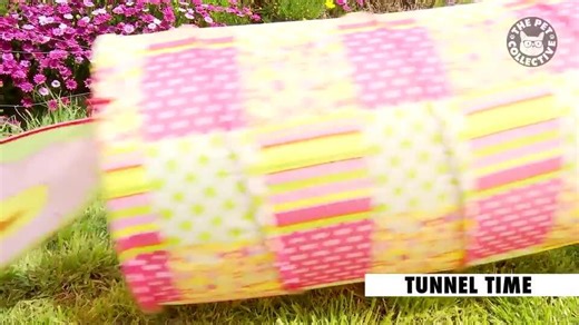 15 Funny Puppy Videos Compilation vol. 5