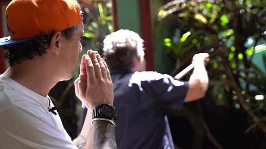 575K views · 1.2K reactions | Bienvenu sur ma page : TOOPET, 100% dédiée aux animaux en tous genres : reptiles, oiseaux, rats, chiens, chats, et j’en passe ! Abonne-toi si tu veux découvrir mes tutos, conseils et animaux les plus insolites 勞 | Toopet | Facebook