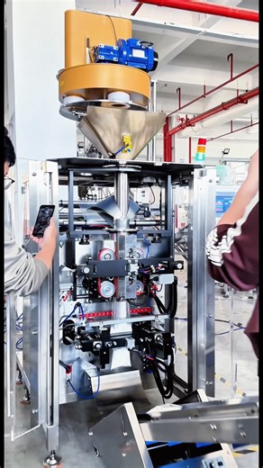 salt vffs automatic packing machine