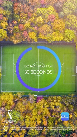 FIFA and Calm Health Goals Collaboration