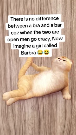 Hilarious Comparison: Bra vs. Bar