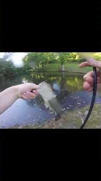 Unbelievable Huge Catch – Monster Fish Landed Live! #cooking #foryou #huntng #viral