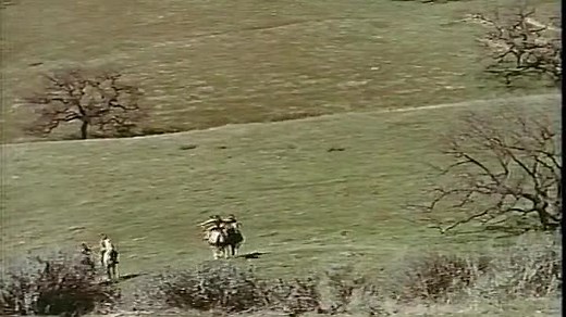 Westward Ho The Wagons! 1956 Welcome to the movies and television