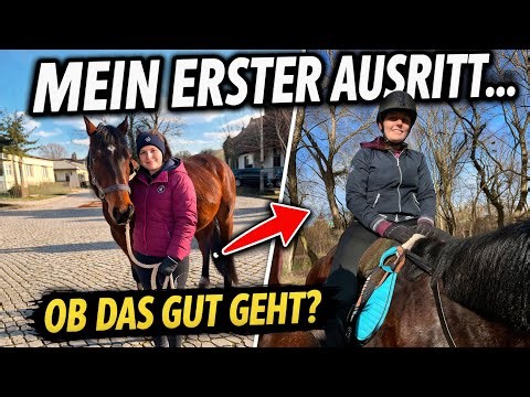 Erster Ausritt... und Eskalation auf dem Reitplatz? 😨