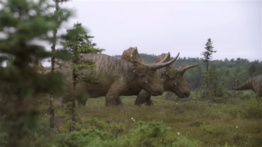 Ceratopsians y hadrosaurios: convivencia en el Cretácico