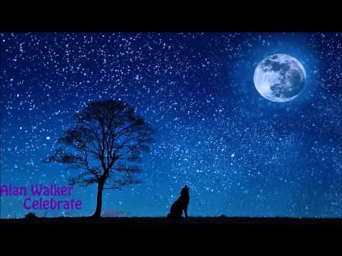 Alan Walker's first song! - Celebrate